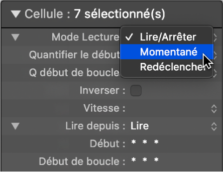 Figure. Réglage Mode Lecture dans l’inspecteur de cellule.