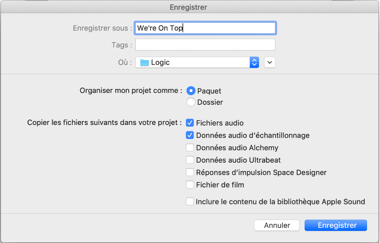 Figure. Cases situées en bas de la zone de dialogue Enregistrer sous, afin de sélectionner les ressources à enregistrer dans le projet.