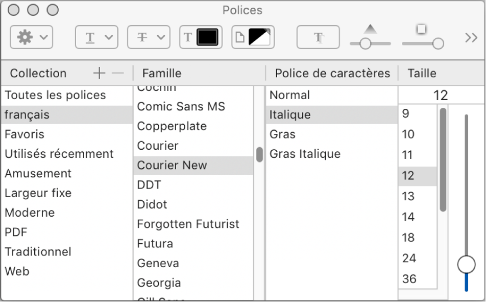 Figure. Fenêtre Police du texte de marqueur.