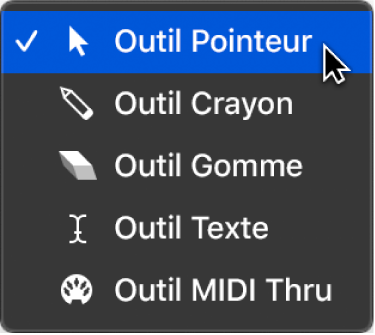 Figure. Menu Outil de la fenêtre Environnement.