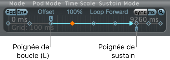 Figure. Poignées de sustain et de boucle.