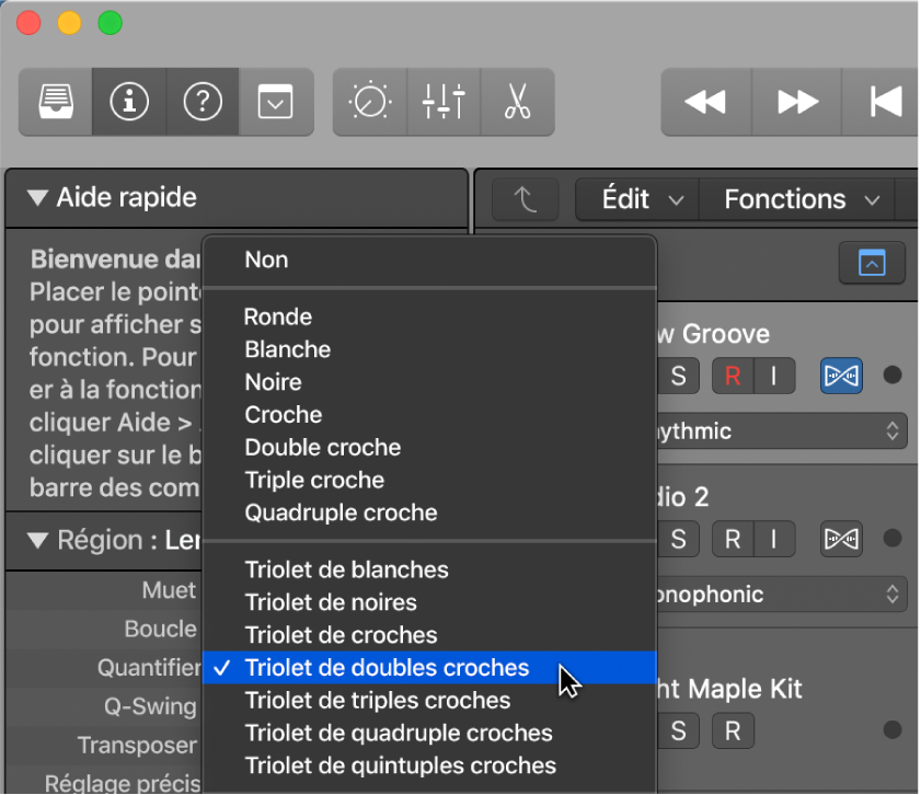 Figure. Menu local Quantifier dans l’inspecteur de région.