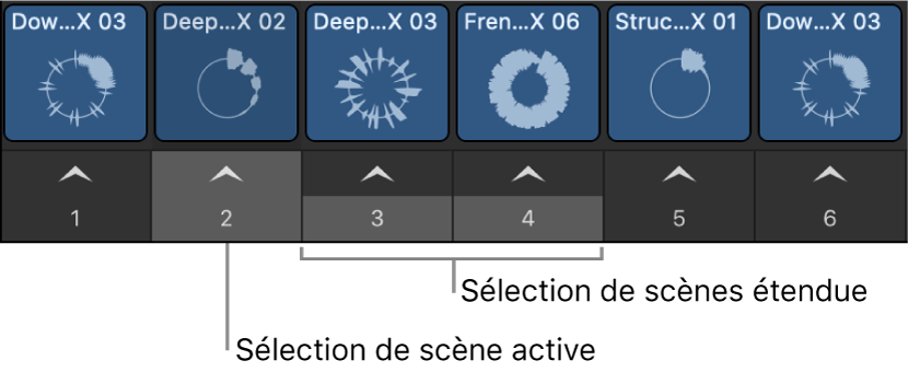 Figure. Plusieurs scènes sélectionnées.