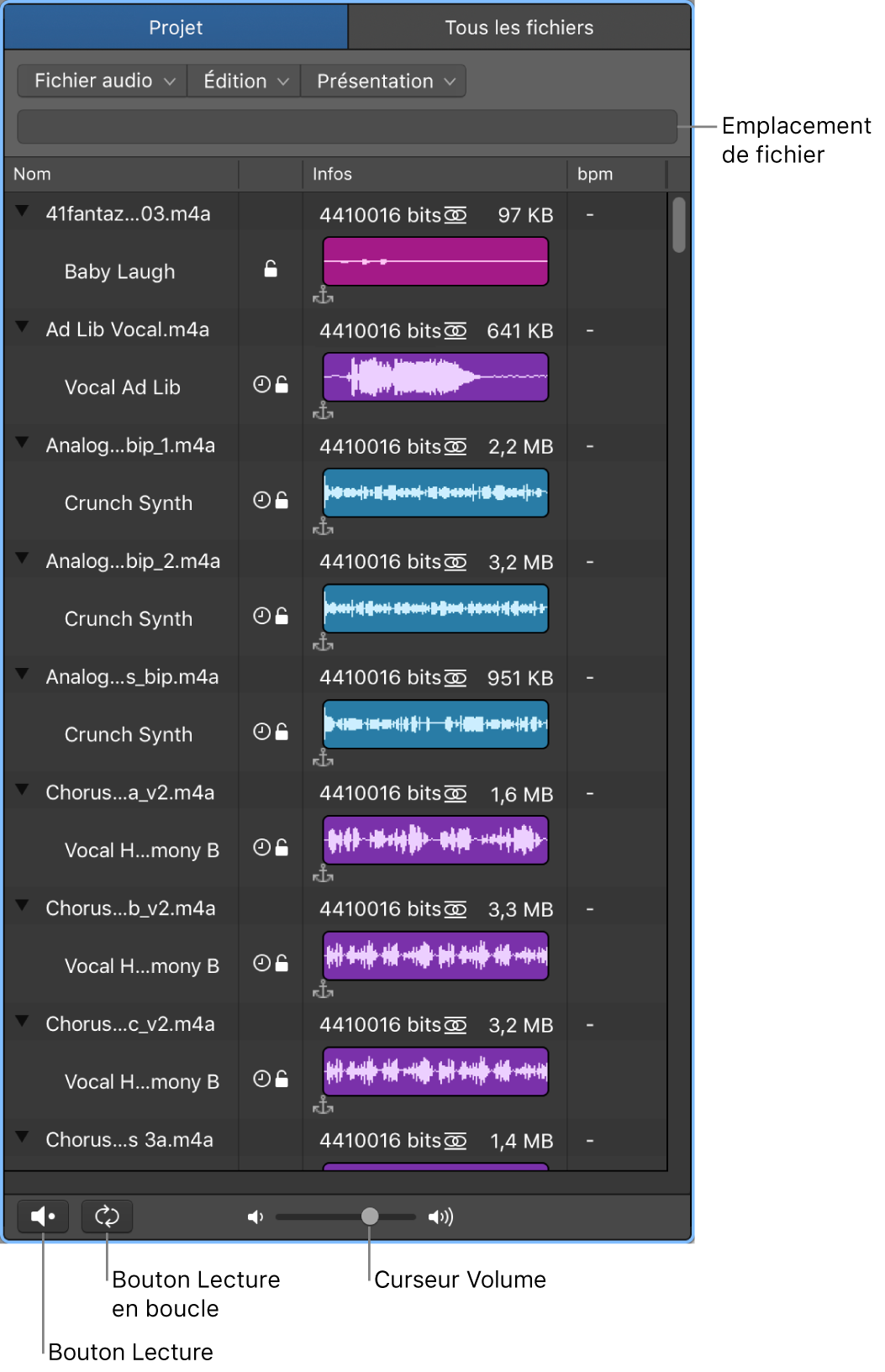 Figure. Le navigateur audio du projet.