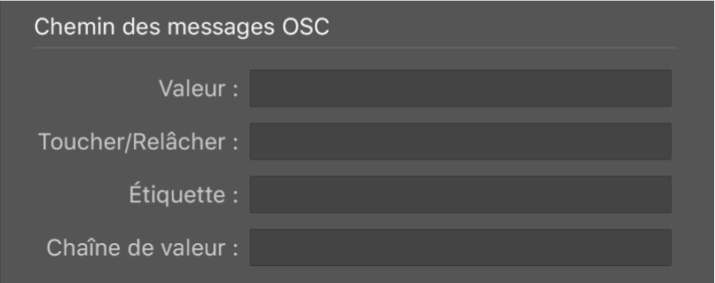 Figure. Paramètres de chemin de message OSC en présentation Expert.