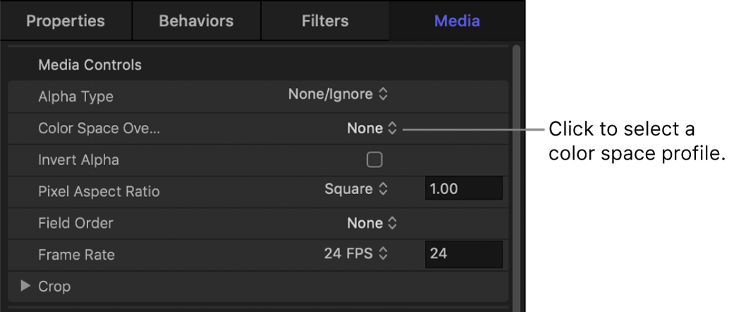 Media Inspector showing Color Space Override parameter