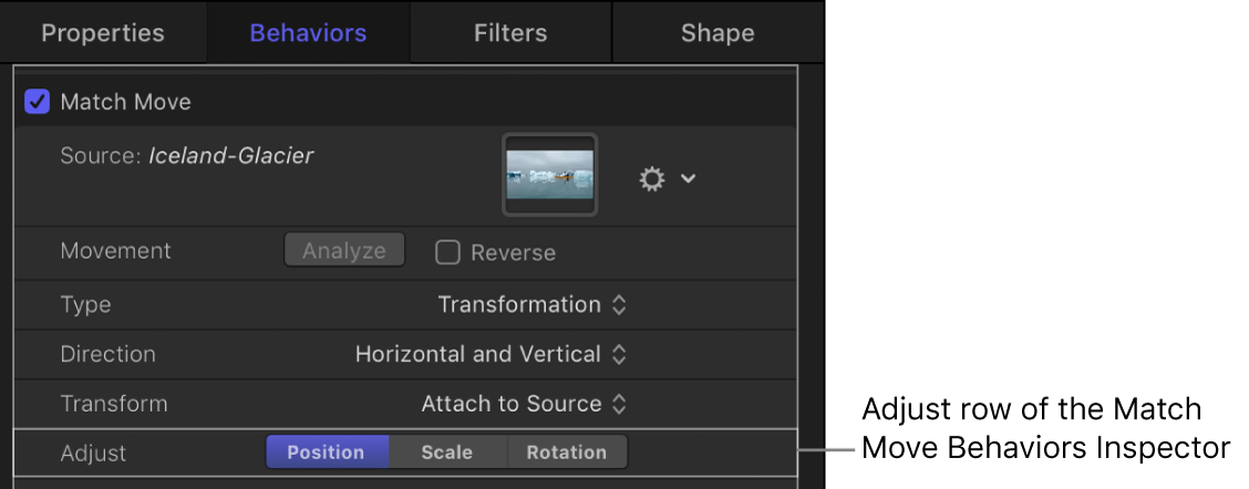 Match Move Inspector showing the Adjust parameters