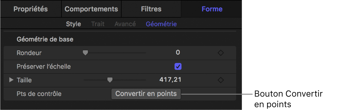 Fenêtre Géométrie d’une forme affichant le bouton Convertir en points