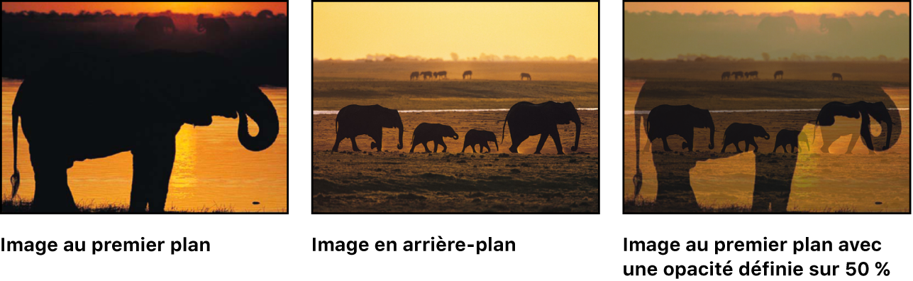 Canevas affichant l’effet de la réduction de l’opacité d’un objet