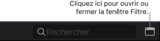 Bouton Filtrer à droite du champ de recherche dans le navigateur