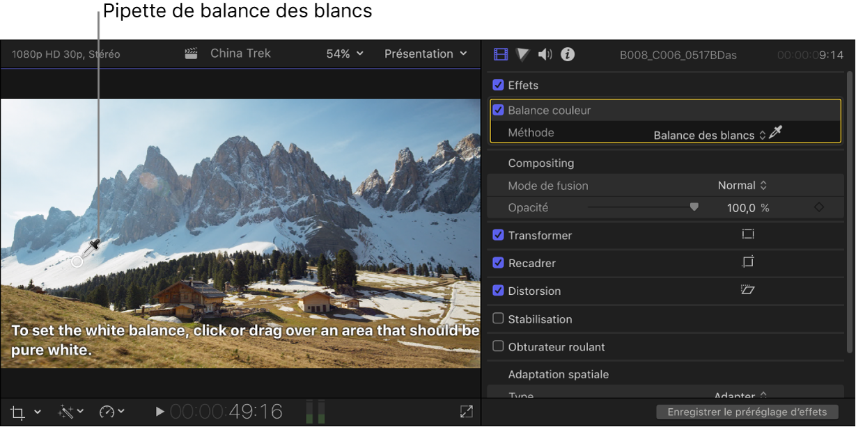 Réglage Balance des couleurs dans l’inspecteur vidéo et pipette Balance des blancs dans le visualiseur