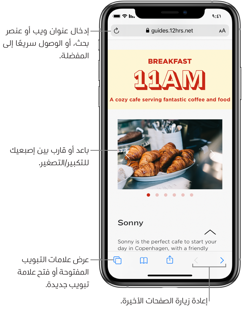 موقع ويب مفتوح في نافذة Safari، ويظهر حقل العنوان في الجزء العلوي. في الجزء السفلي، من اليمين إلى اليسار، تظهر أزرار الخلف، والأمام، والمشاركة، والإشارات المرجعية، والصفحات.