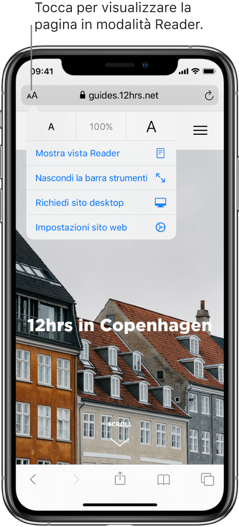 Il campo indirizzo in Safari con il pulsante Reader a sinistra.