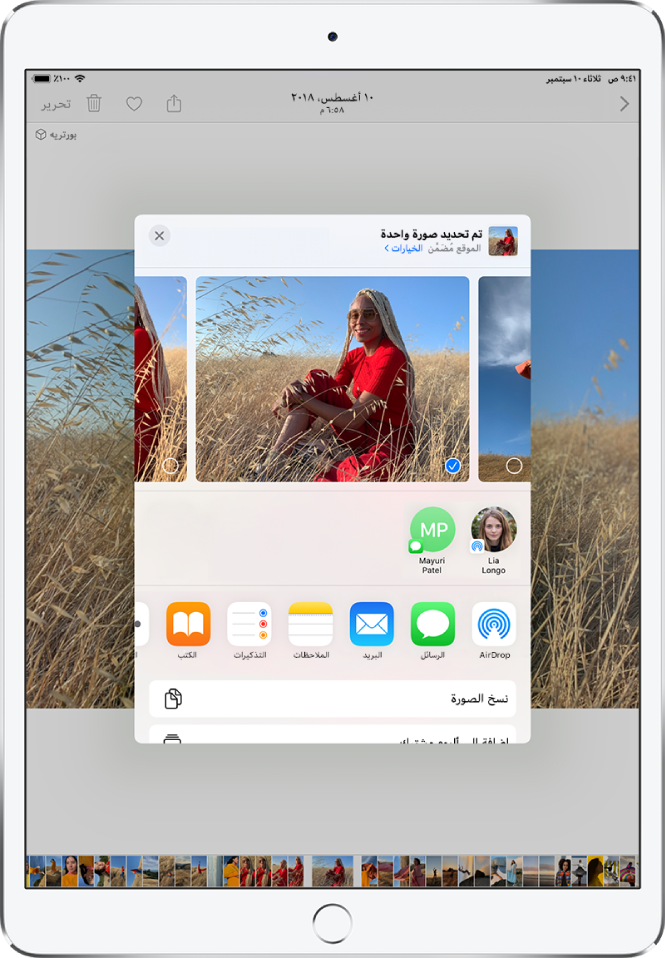 نافذة مشاركة الصور تظهر في وسط الشاشة. توجد الصور على امتداد الجزء العلوي من النافذة؛ تم تحديد صورة واحدة مع الإشارة إليها بعلامة اختيار. يقترح الصف الموجود أسفل الصور جهات اتصال حديثة لمشاركة الصور معها. أسفل جهات الاتصال المقترحة يوجد خيارات المشاركة، من اليمين إلى اليسار، AirDrop والرسائل والبريد والملاحظات والتذكيرات والكتب. في أسفل شاشة المشاركة، يوجد صف الإجراءات. من الأعلى إلى الأسفل، يظهر نسخ الصورة وإضافة إلى ألبوم مشترك.