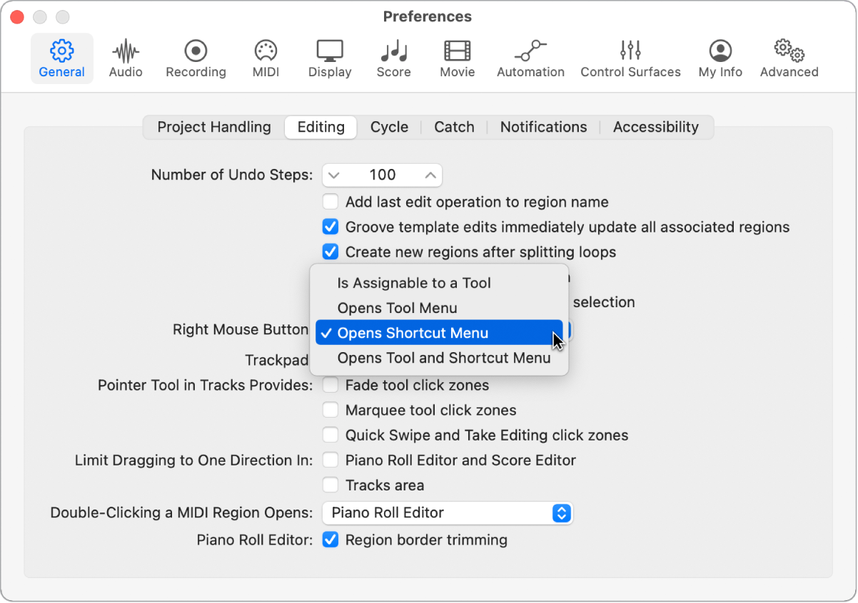 Figure. Right Mouse Button menu in the Editing pane in the General preferences.