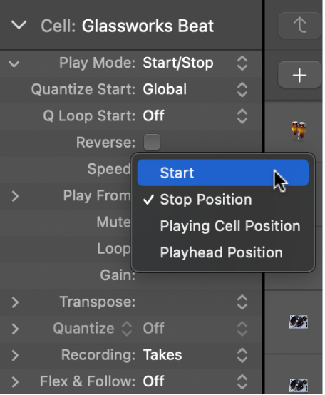 Figure. Play From setting in the Cell inspector.