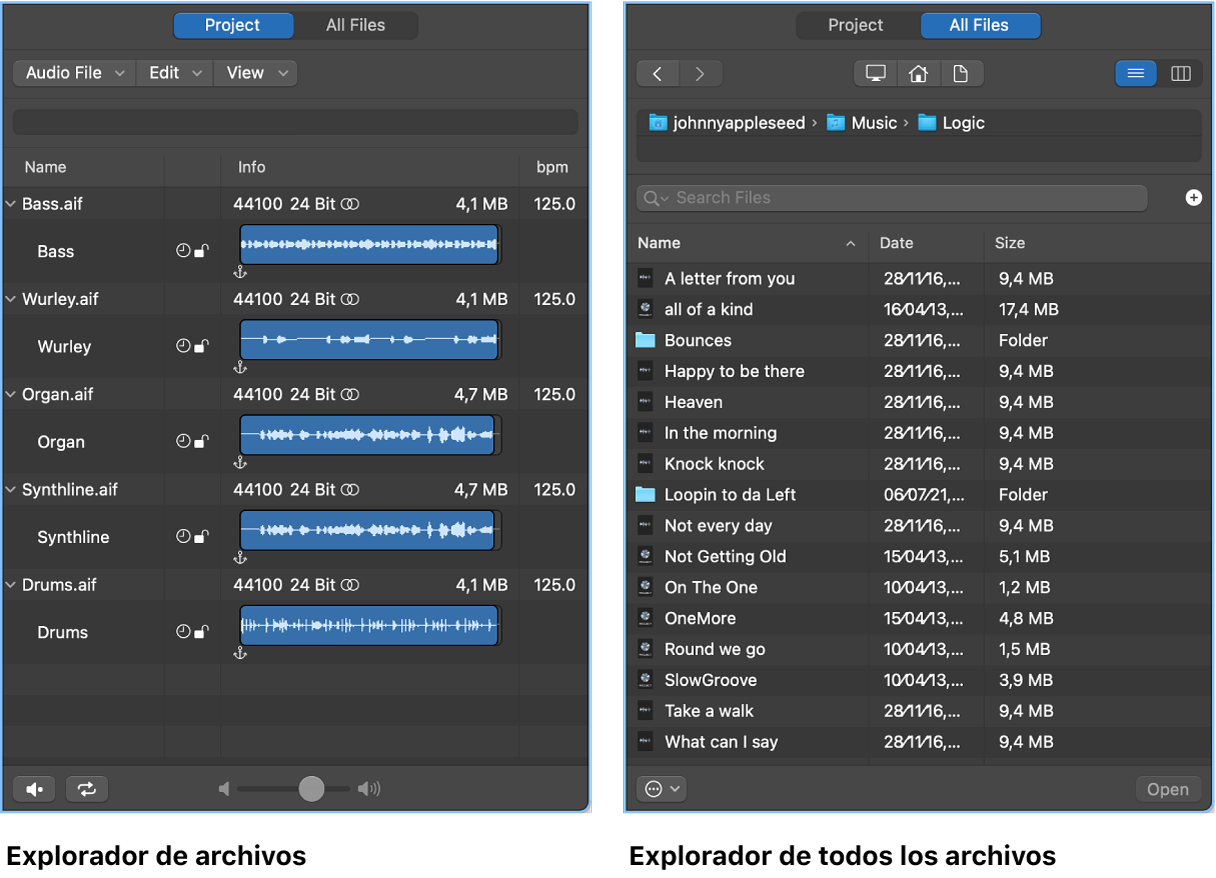 Ilustración. Explorador de audio del proyecto y explorador de todos los archivos.