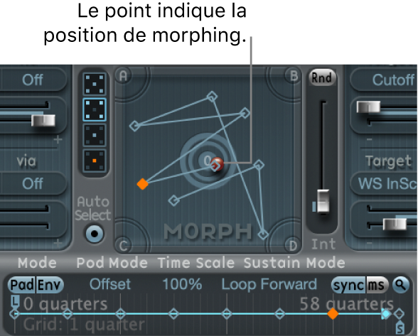 Figure. Pad Morph et chronologie.