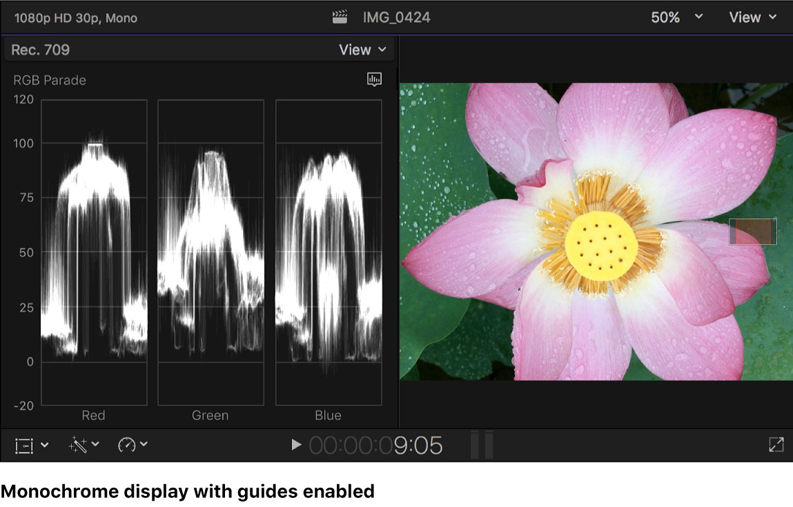 The monochrome RGB Parade histogram with guides, shown to the left of the viewer