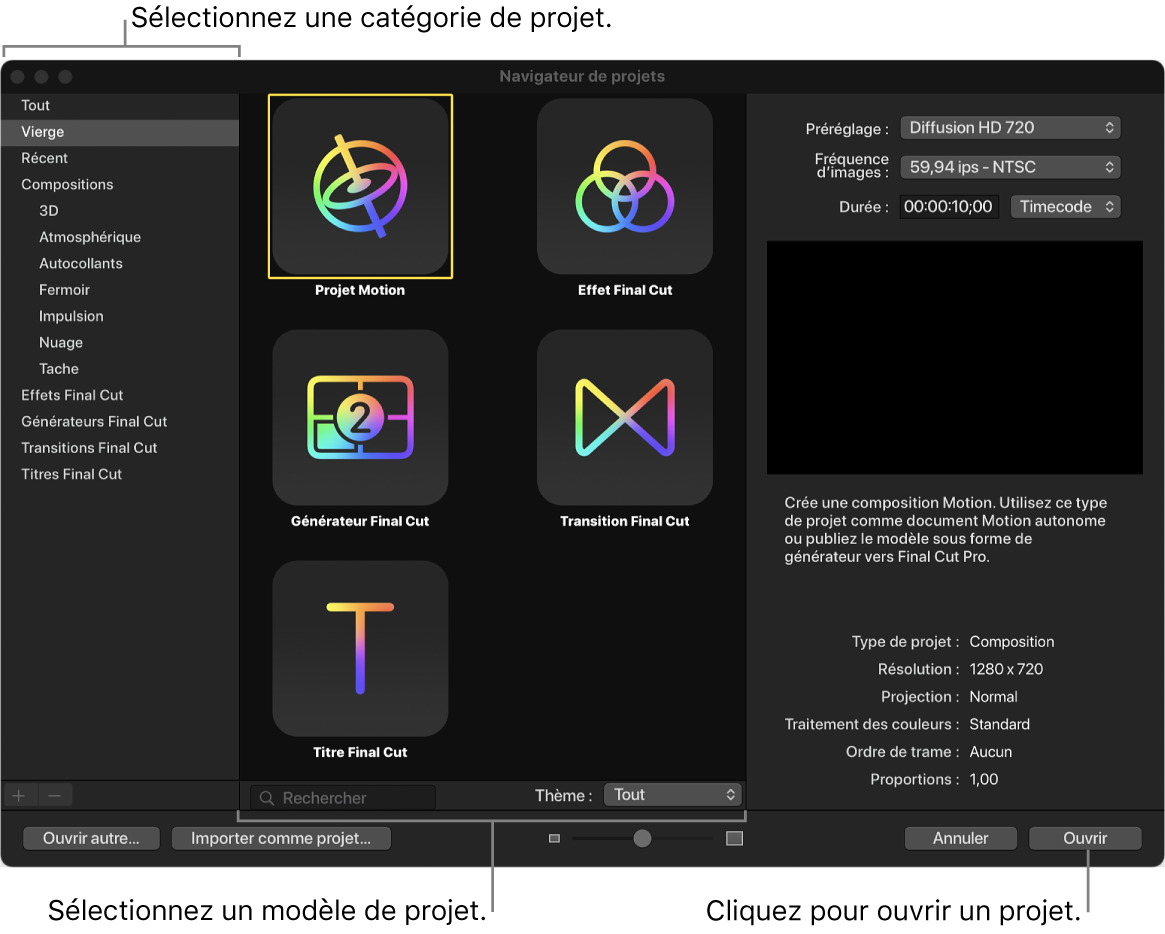 Fenêtre Navigateur de projets