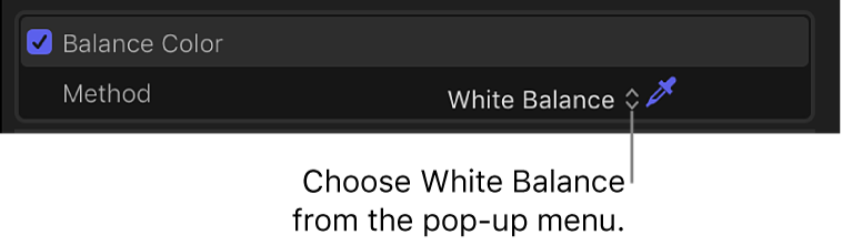 The Balance Color section of the Video inspector showing the White Balance setting