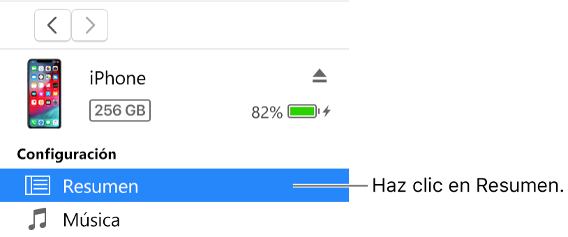 La ventana Dispositivo con la opción Resumen seleccionada en la barra lateral de la izquierda.