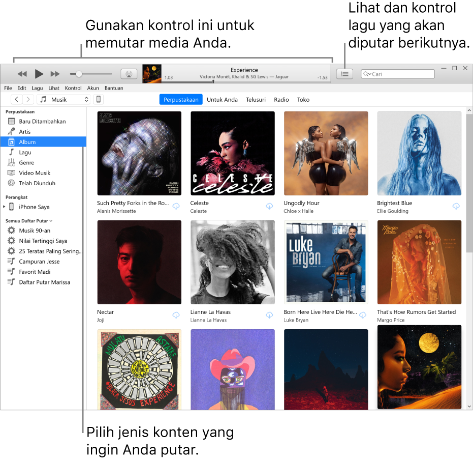 Jendela utama Perpustakaan iTunes: Di navigator, pilih jenis media untuk diputar (seperti Musik). Gunakan kontrol di spanduk pada bagian atas untuk memutar media, dan gunakan menu pop-up Berikutnya di sebelah kanan untuk melihat perpustakaan dengan cara yang berbeda.