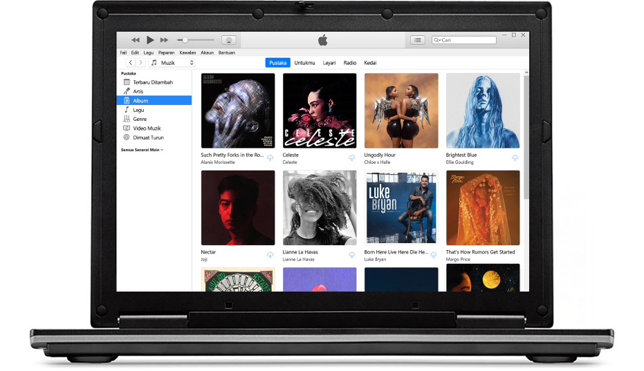 Tetingkap iTunes dengan pustaka berbilang album.