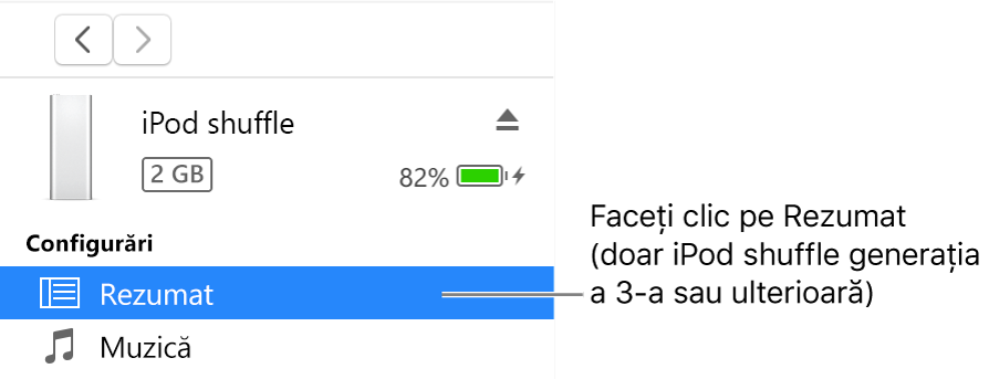 Fereastra Dispozitiv, cu secțiunea Rezumat selectată în bara laterală din stânga.