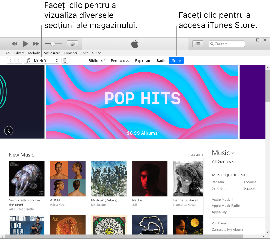 Fereastra principală iTunes Store: În bara de navigare, este evidențiat Store. În colțul din stânga sus, alegeți să vizualizați diferite tipuri de conținut în Store (cum ar fi Muzică sau Emisiuni TV).