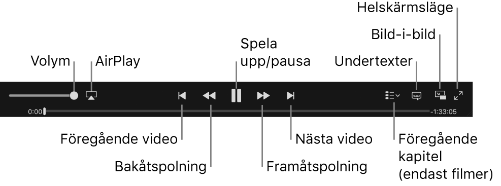 Videoreglage: Volym, AirPlay, föregående video, spola bakåt, uppspelning/paus, spola framåt, nästa video, kapitelväljare (endast filmer), undertexter, bild-i-bild och helskärmsläge.