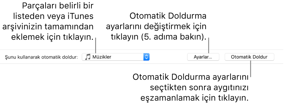 Müzik bölmesinin alt kısmındaki Otomatik Doldurma seçenekleri. En solda, parçaları listeden veya tüm arşivinizden ekleme seçeneklerini bulabileceğiniz Şunu Kullanarak Otomatik Doldur açılır menüsü bulunur. En sağda, çeşitli Otomatik Doldur seçeneklerini değiştirebileceğiniz Ayarlar ile Otomatik Doldur adlı iki düğme var. Otomatik Doldur’u tıkladığınızda, aygıtınız ölçüte uyan parçalarla doldurulur.