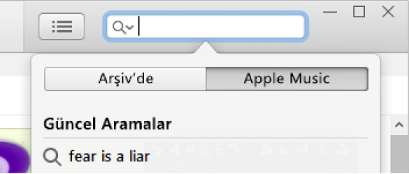 Apple Music için arama alanı.