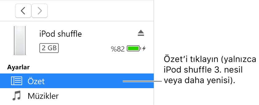 Soldaki kenar çubuğunda Özet’in seçili olduğu Aygıt penceresi.