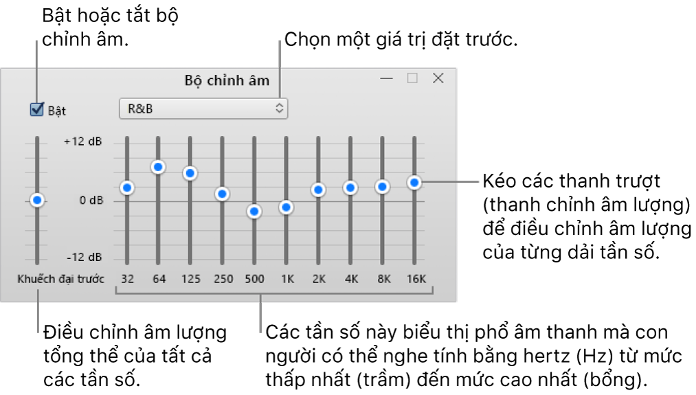 Cửa sổ Bộ chỉnh âm: Hộp kiểm để bật bộ chỉnh âm iTunes ở góc trên bên trái. Bên cạnh là menu bật lên có các giá trị đặt trước của bộ chỉnh âm. Ở phía ngoài cùng bên trái, điều chỉnh âm lượng chung của các tần số bằng tính năng khuếch đại trước. Bên dưới các giá trị đặt trước của bộ chỉnh âm, điều chỉnh mức âm thanh của các dải tần số khác nhau thể hiện dải âm thanh mà con người có thể nghe được từ thấp nhất đến cao nhất.