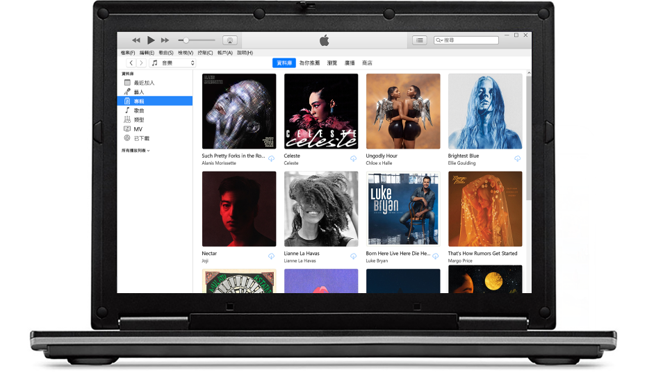 顯示多個專輯的 iTunes 視窗