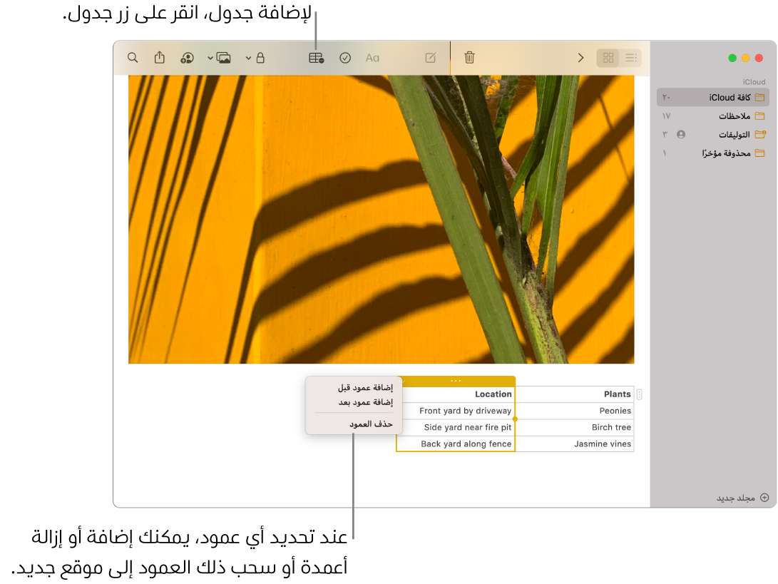 نافذة الملاحظات تعرض زر الجدول—انقر عليه لإضافة جدول. ضمن محتوى الملاحظة، يتم تحديد عمود في الجدول بحيث يمكنك إما إضافة أعمدة أو إزالتها أو سحبه إلى موقع جديد.