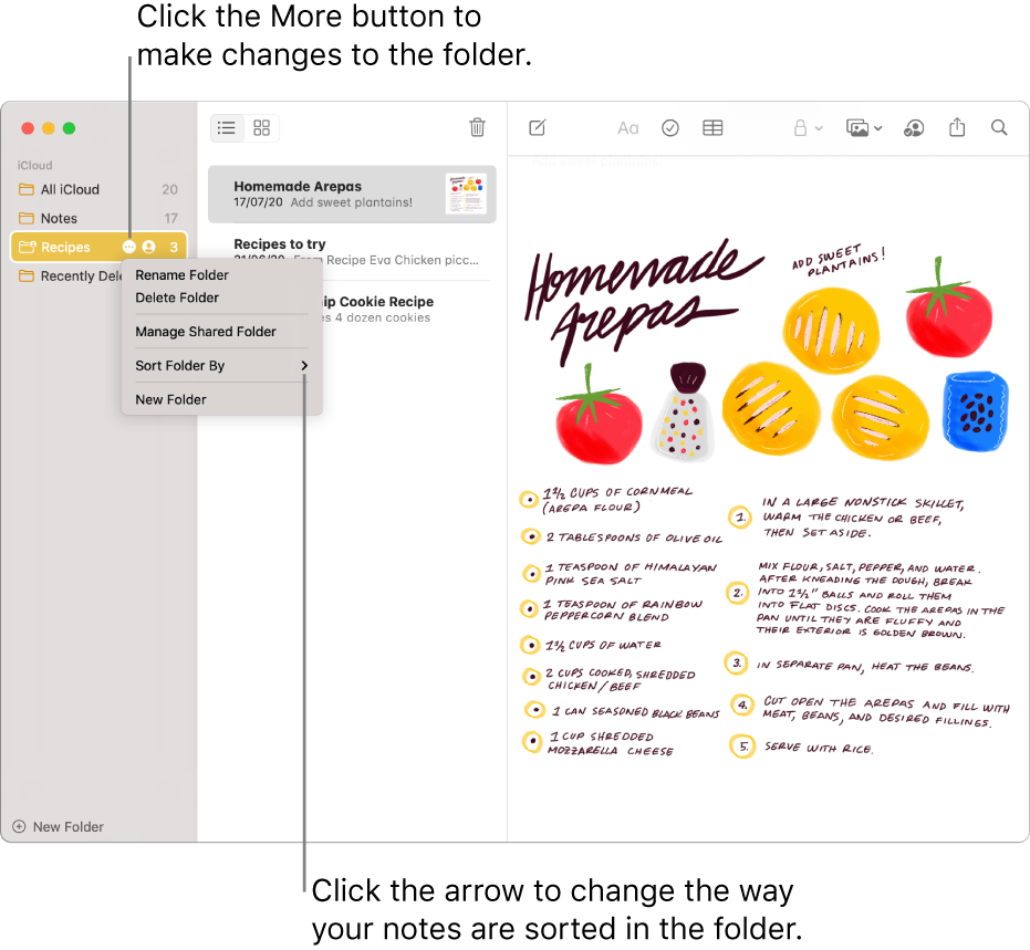 The Notes window with one folder in the sidebar showing the More button where you can make changes to a folder. Above the list of notes in the middle is the sort option, which changes the order of the notes — click the arrow to select a different sort order.