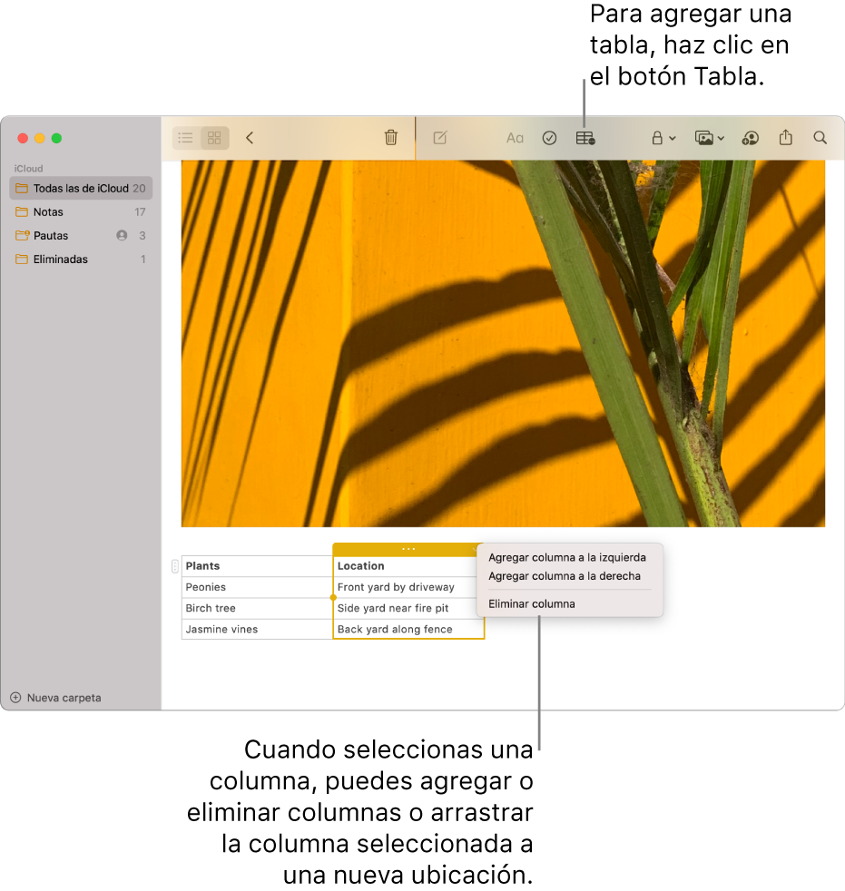 La ventana de Notas mostrando el botón Tabla que sirve para agregar una tabla. Dentro del contenido de la nota, se selecciona una columna de la tabla para poder agregar o eliminar columnas, o arrastrar una columna a otra ubicación.