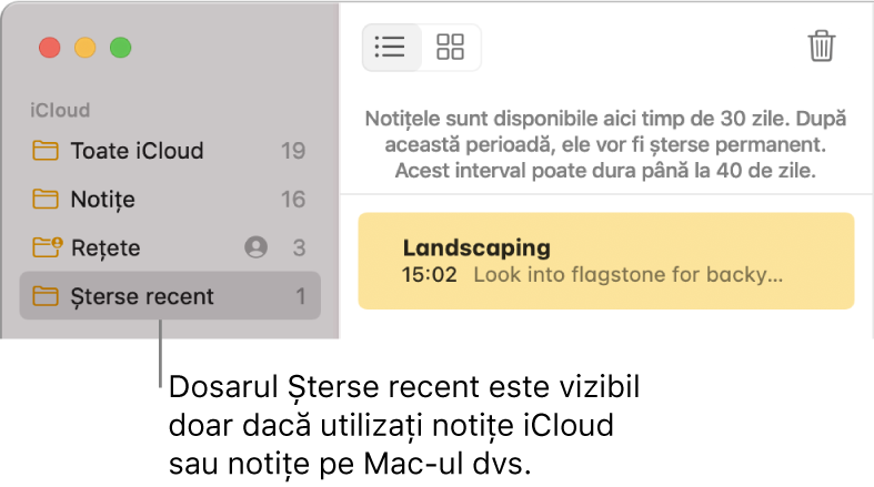 Fereastra Notițe cu dosarul Șterse recent în bara laterală și o notiță ștearsă recent. Puteți vedea dosarul Șterse recent doar dacă utilizați notițe iCloud sau notițele de pe Mac-ul dvs.