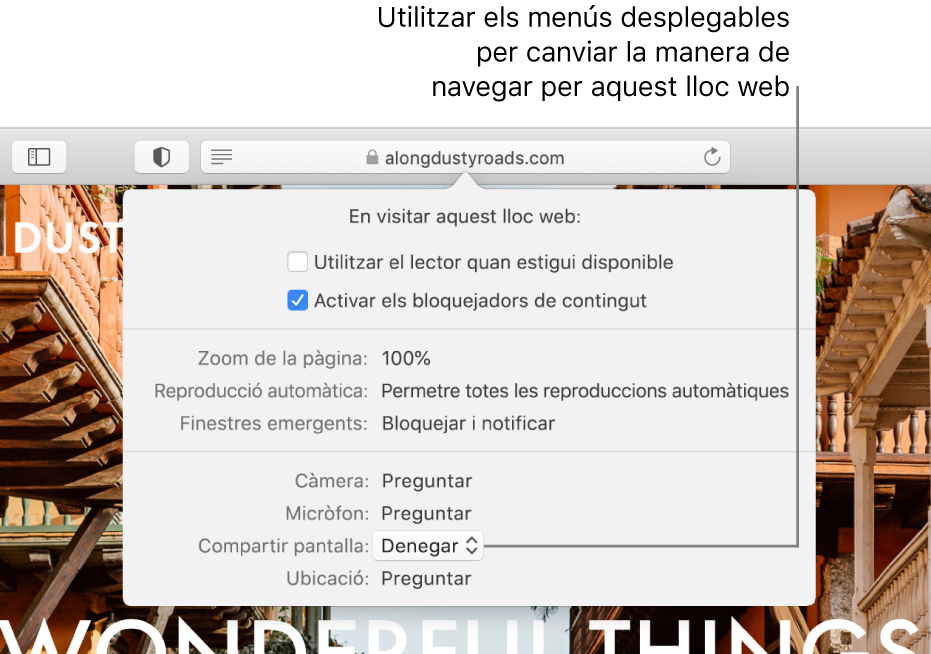 El quadre de diàleg que apareix a sota del camp de cerca intel·ligent quan selecciones Safari > Configuració d’aquest lloc web. El quadre de diàleg conté opcions per personalitzar la navegació pel lloc web actual, com ara l’ús de la vista Lector i l’activació dels bloquejadors de contingut, entre altres.