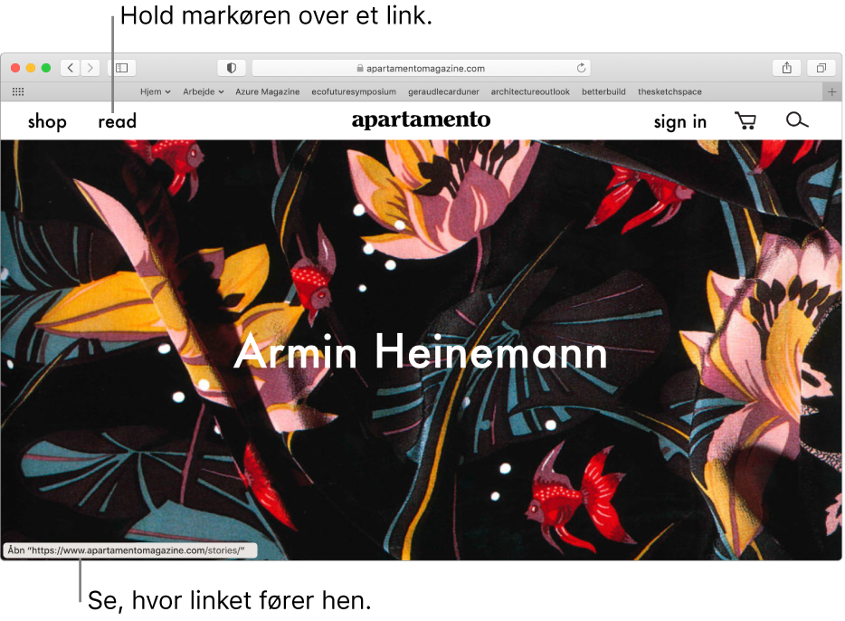 Markøren er over et link på en webside, og URL-adressen på linket vises på statuslinjen nederst i vinduet.