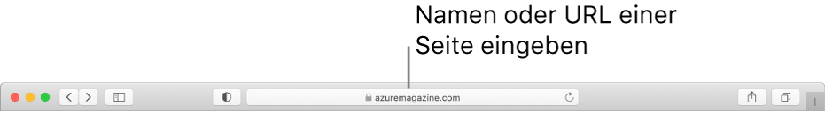 Das intelligente Suchfeld von Safari, in dem du den Namen oder die URL einer Seite eingeben kannst.