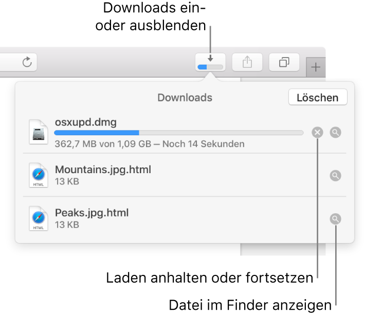 Die Taste „Downloads“ in der Symbolleiste und darunter die Liste der Downloads.