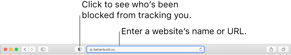 The Safari toolbar showing the Privacy Report button and a website in the Smart Search field.