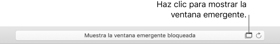 El campo de búsqueda inteligente con un icono a la derecha para permitir ventanas emergentes.