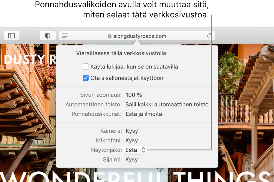 Älykkään hakukentän alle näkyviin tuleva valintaikkuna, kun valitset Safari > Tämän sivuston asetukset. Valintaikkunassa on vaihtoehtoja nykyisen verkkosivuston selaamisen muokkaamiseen, muun muassa Lukija-näkymän käyttäminen ja sisällön estäminen.