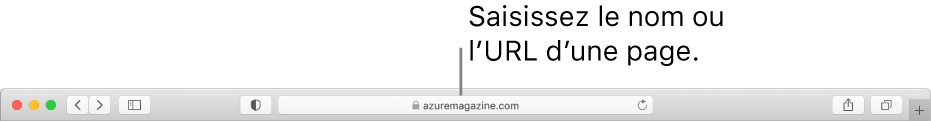 Le champ de recherche intelligente de Safari, dans lequel vous pouvez saisir le nom ou l’URL d’une page.