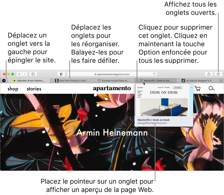La fenêtre de Safari affiche plusieurs onglets ouverts, et le pointeur se trouve sur un onglet qui présente un aperçu de la page Web.