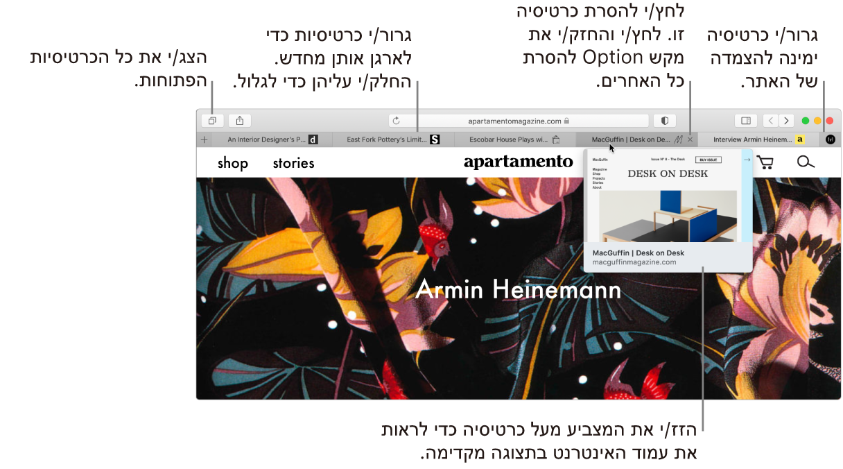 חלון Safari עם כמה כרטיסיות פתוחות. המצביע עומד מעל כרטיסיה המראה תצוגה מקדימה של עמוד האינטרנט.